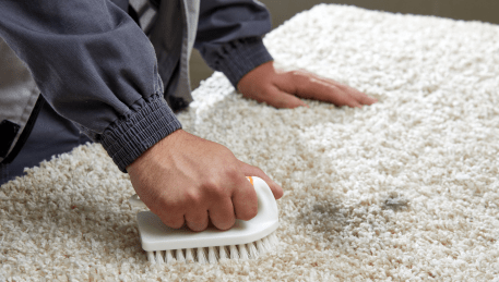 Professional Rug Cleaning Coburg
